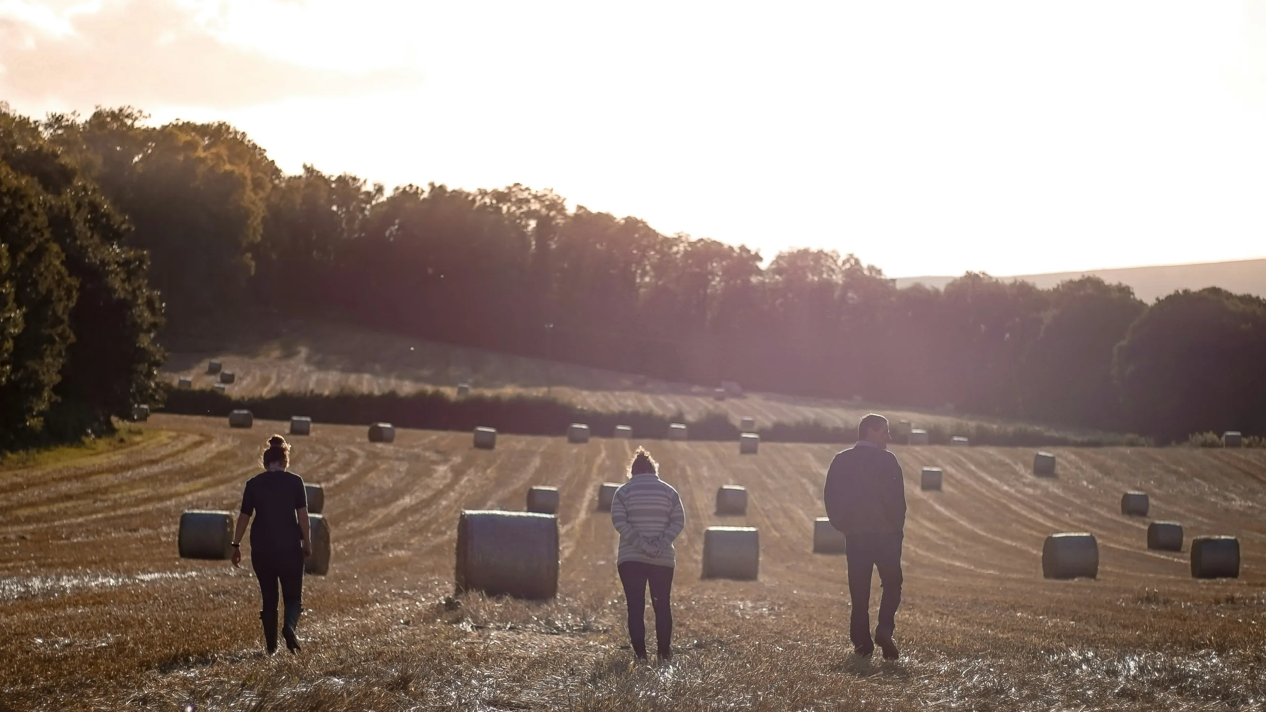 Inheritance Tax in Ireland: Why Timing Is Everything